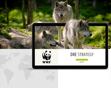 WWF - PowerPoint prezentacja